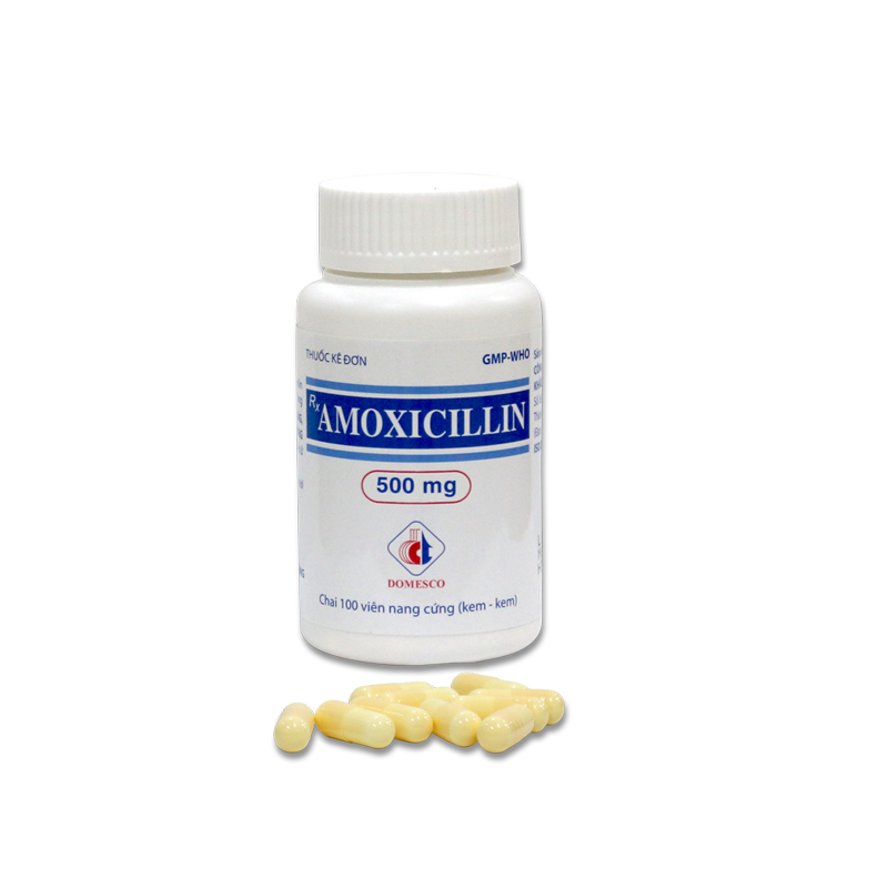 AMOXICILLIN 500MG (KEM-KEM)