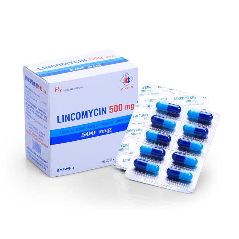 LINCOMYCIN 500mg
