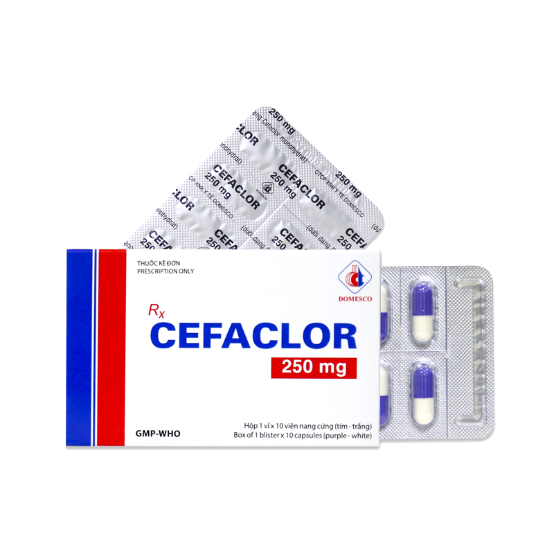 CEFACLOR 250MG (TÍM-TRẮNG)