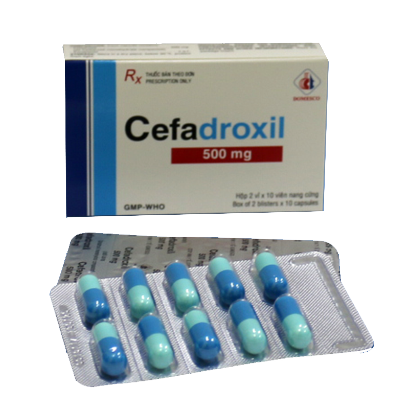 Cefadroxil 500 Mg